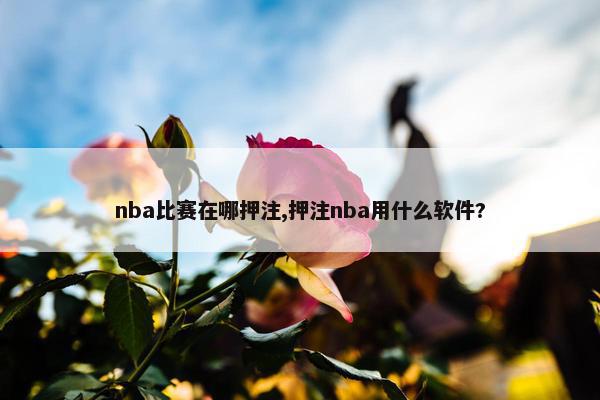 nba比赛在哪押注,押注nba用什么软件?