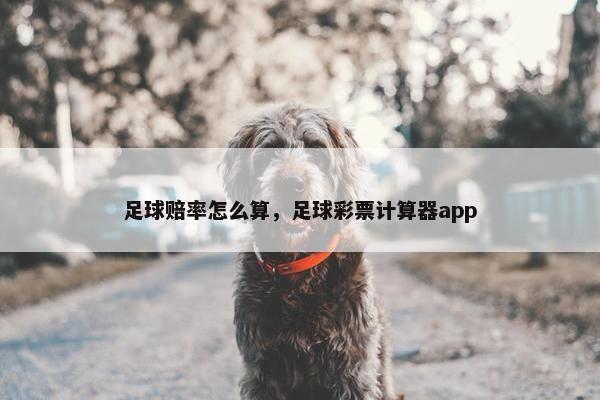 足球赔率怎么算，足球彩票计算器app