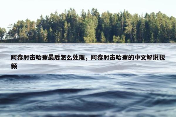 阿泰肘击哈登最后怎么处理，阿泰肘击哈登的中文解说视频