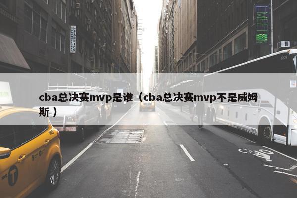 cba总决赛mvp是谁（cba总决赛mvp不是威姆斯 ）