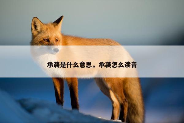 承袭是什么意思，承袭怎么读音