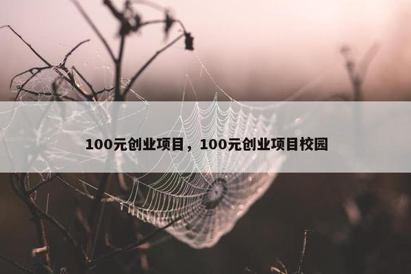 100元创业项目，100元创业项目校园