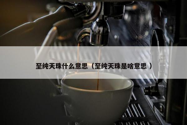 至纯天珠什么意思（至纯天珠是啥意思 ）