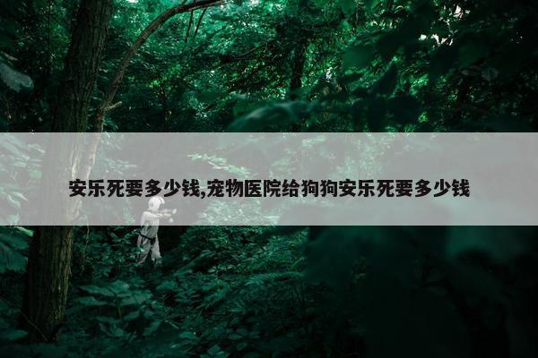 安乐死要多少钱,宠物医院给狗狗安乐死要多少钱