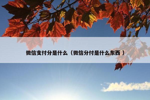 微信支付分是什么（微信分付是什么东西 ）