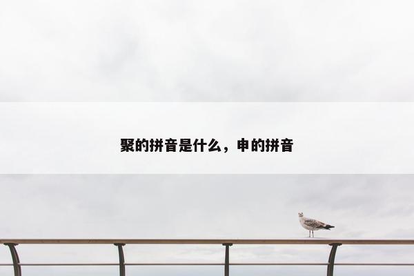 聚的拼音是什么，申的拼音