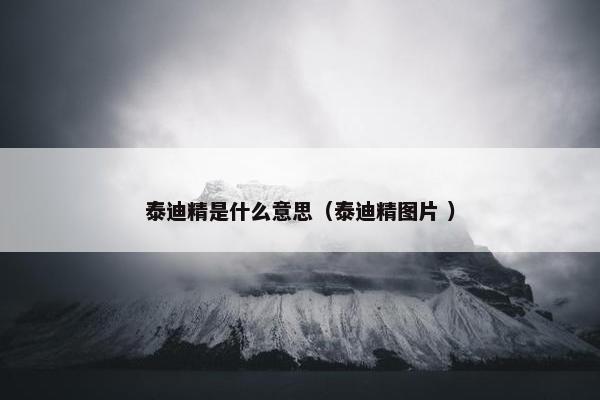 泰迪精是什么意思（泰迪精图片 ）