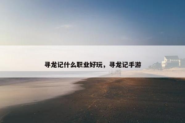 寻龙记什么职业好玩，寻龙记手游