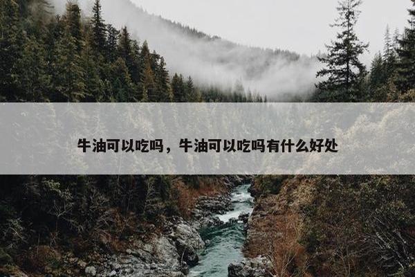 牛油可以吃吗，牛油可以吃吗有什么好处