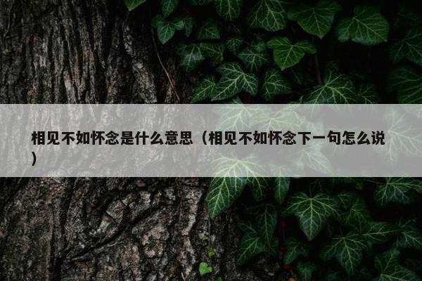 相见不如怀念是什么意思（相见不如怀念下一句怎么说 ）