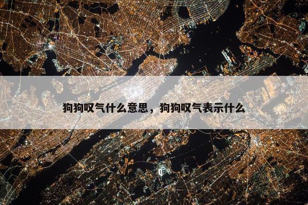 狗狗叹气什么意思，狗狗叹气表示什么