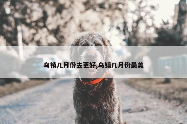 乌镇几月份去更好,乌镇几月份最美