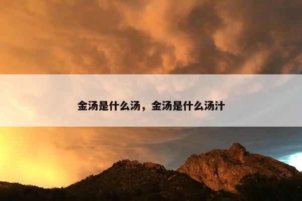 金汤是什么汤，金汤是什么汤汁