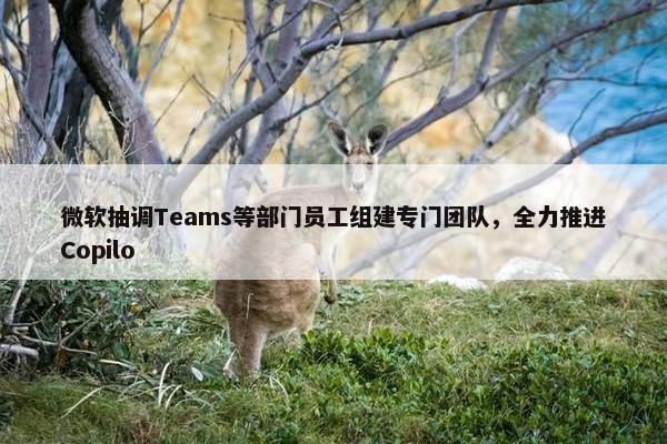 微软抽调Teams等部门员工组建专门团队，全力推进Copilo