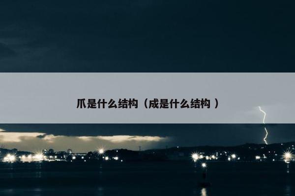 爪是什么结构（成是什么结构 ）