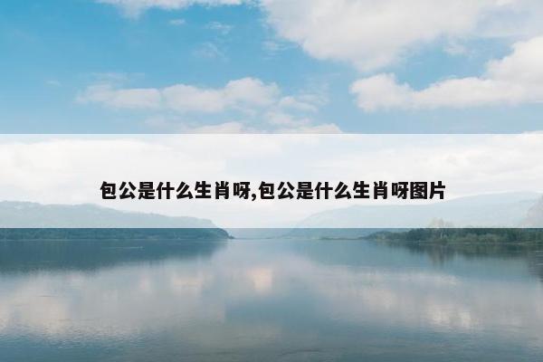 包公是什么生肖呀,包公是什么生肖呀图片