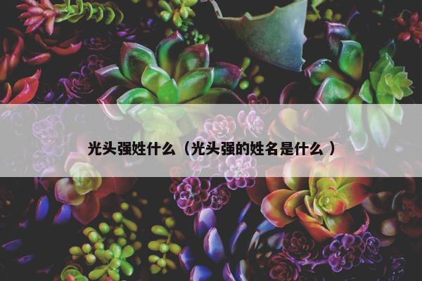 光头强姓什么（光头强的姓名是什么 ）