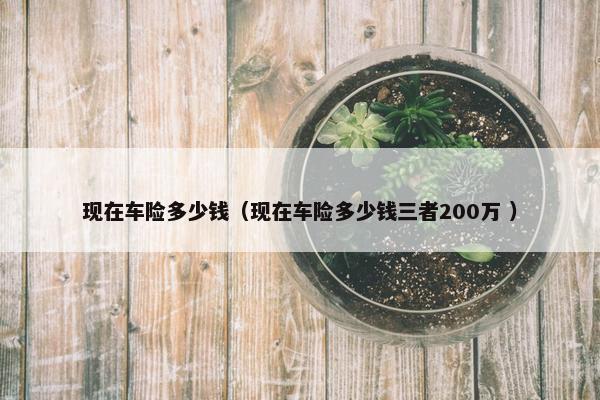 现在车险多少钱（现在车险多少钱三者200万 ）