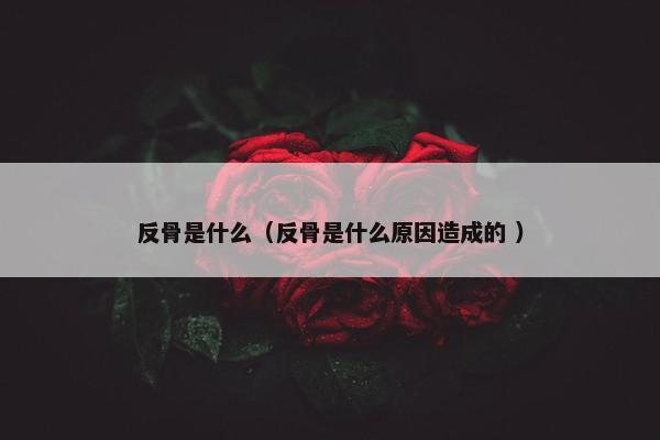 反骨是什么（反骨是什么原因造成的 ）