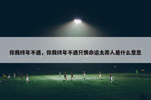 你我终年不遇，你我终年不遇只恨命运太弄人是什么意思