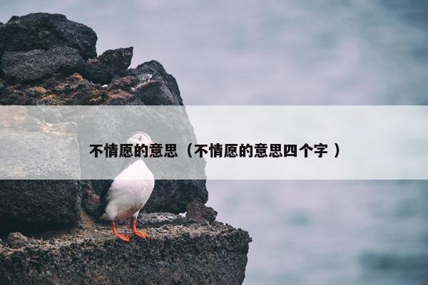 不情愿的意思（不情愿的意思四个字 ）