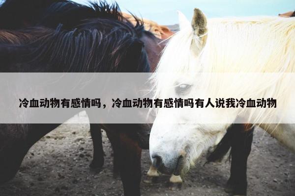 冷血动物有感情吗，冷血动物有感情吗有人说我冷血动物