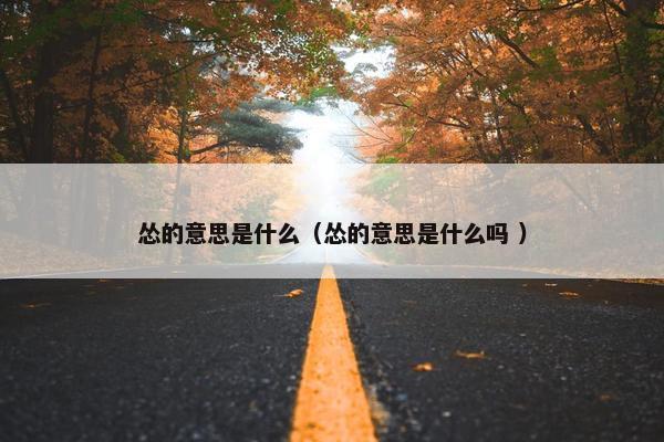 怂的意思是什么（怂的意思是什么吗 ）