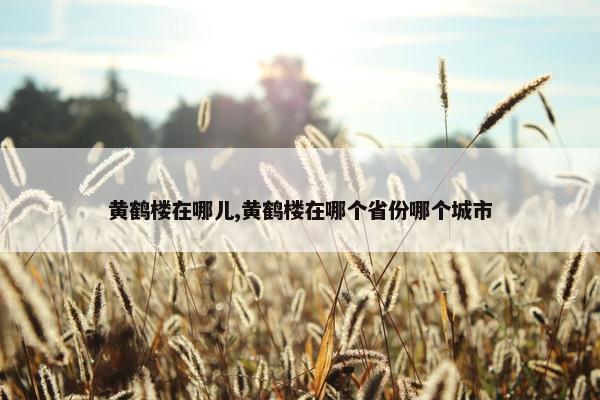 黄鹤楼在哪儿,黄鹤楼在哪个省份哪个城市