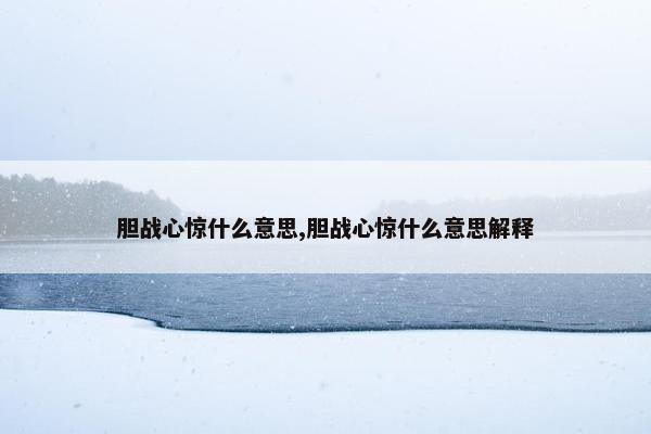 胆战心惊什么意思,胆战心惊什么意思解释