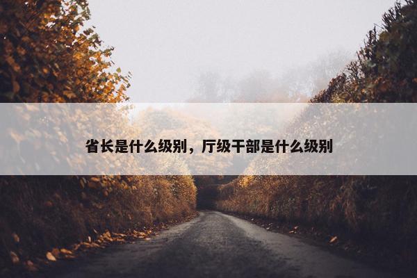 省长是什么级别，厅级干部是什么级别