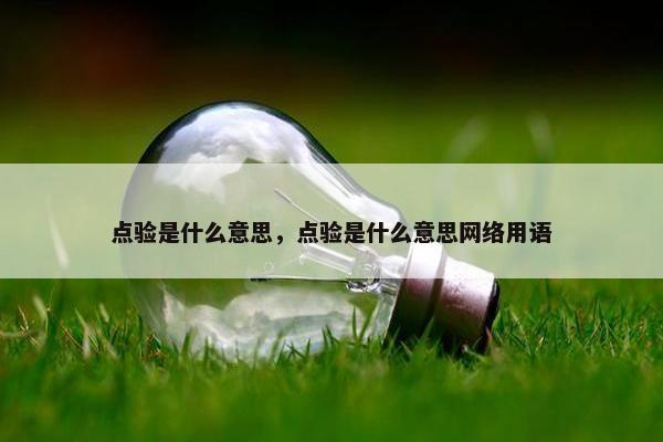 点验是什么意思，点验是什么意思网络用语