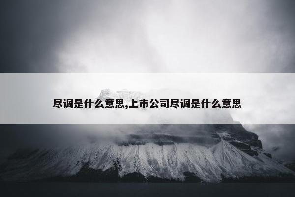 尽调是什么意思,上市公司尽调是什么意思