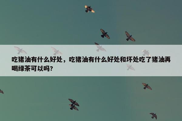 吃猪油有什么好处，吃猪油有什么好处和坏处吃了猪油再喝绿茶可以吗?