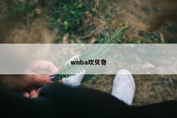 wnba坎贝奇