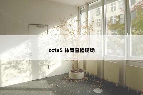 cctv5 体育直播现场