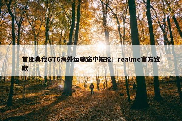 首批真我GT6海外运输途中被抢！realme官方致歉