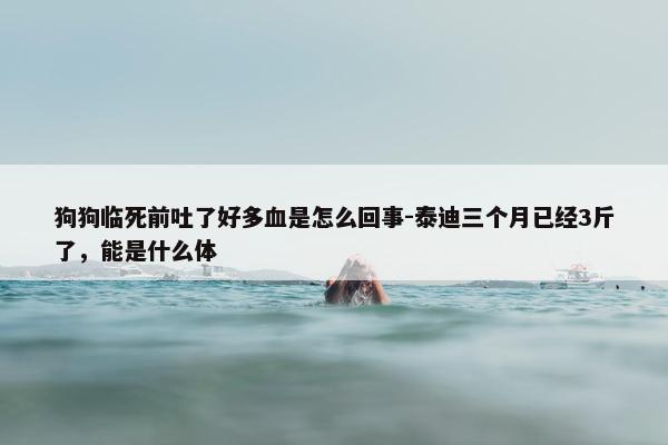 狗狗临死前吐了好多血是怎么回事-泰迪三个月已经3斤了，能是什么体