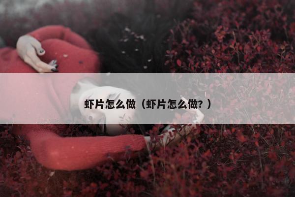 虾片怎么做（虾片怎么做? ）