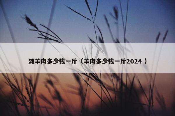 滩羊肉多少钱一斤（羊肉多少钱一斤2024 ）