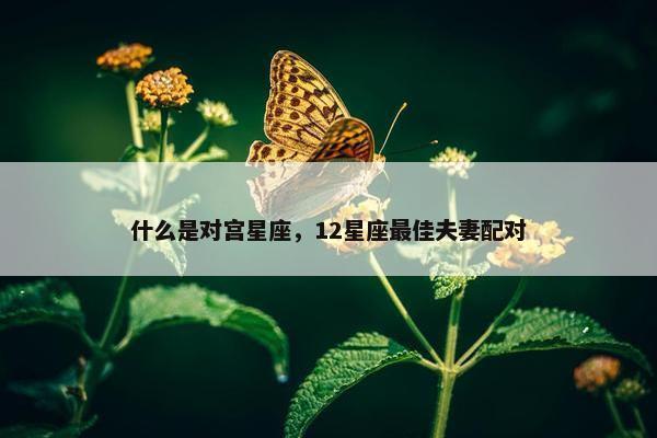 什么是对宫星座，12星座最佳夫妻配对