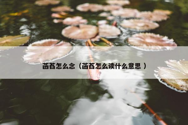 菡萏怎么念（菡萏怎么读什么意思 ）