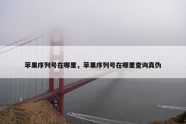 苹果序列号在哪里，苹果序列号在哪里查询真伪