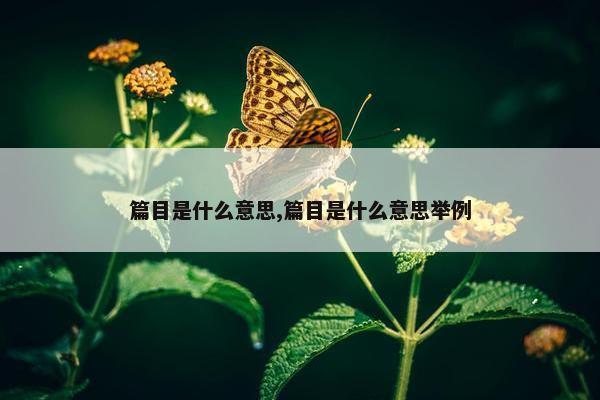 篇目是什么意思,篇目是什么意思举例