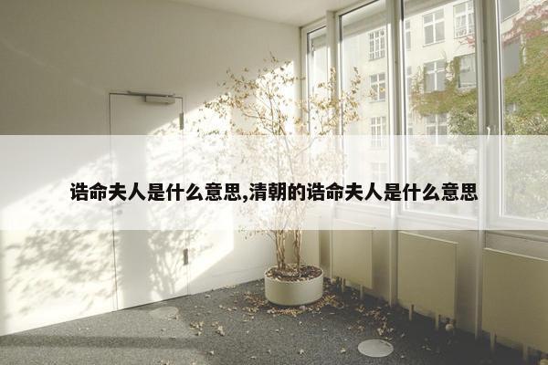 诰命夫人是什么意思,清朝的诰命夫人是什么意思