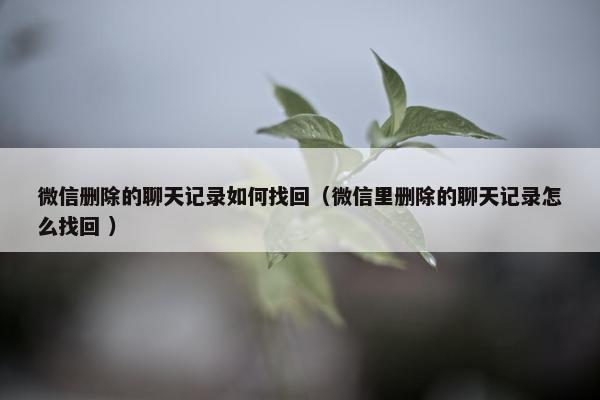 微信删除的聊天记录如何找回（微信里删除的聊天记录怎么找回 ）