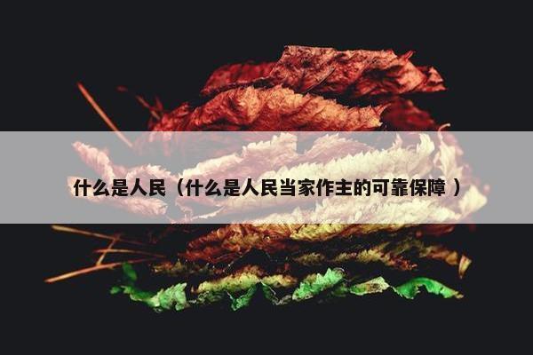 什么是人民（什么是人民当家作主的可靠保障 ）