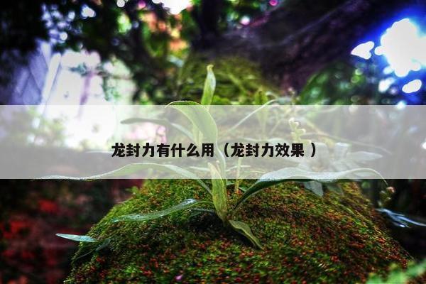 龙封力有什么用（龙封力效果 ）