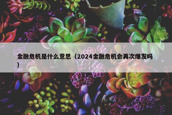 金融危机是什么意思（2024金融危机会再次爆发吗 ）