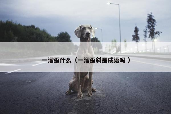 一溜歪什么（一溜歪斜是成语吗 ）