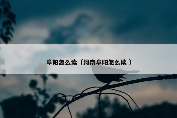 阜阳怎么读（河南阜阳怎么读 ）